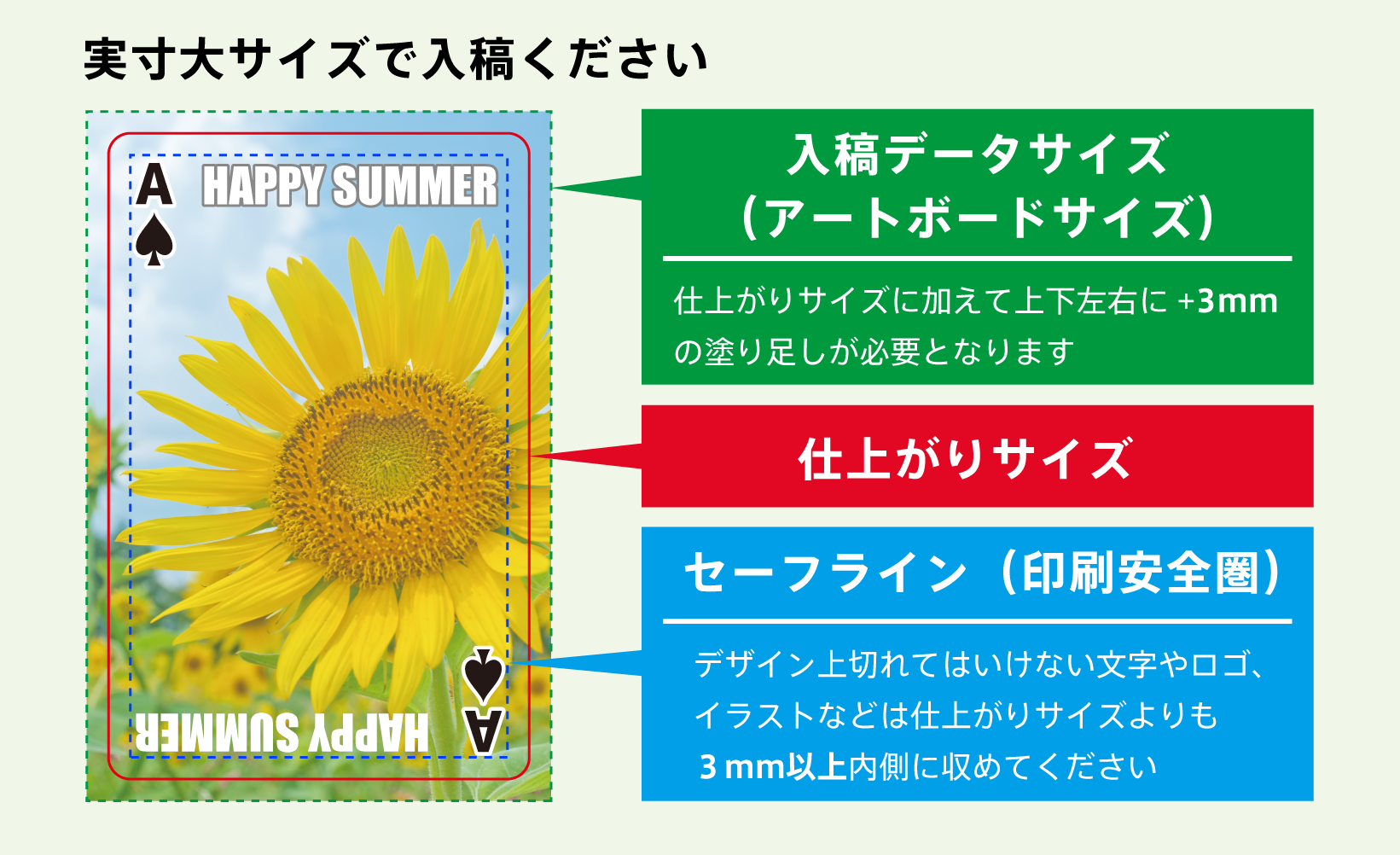 実寸大サイズ見本画像 左側