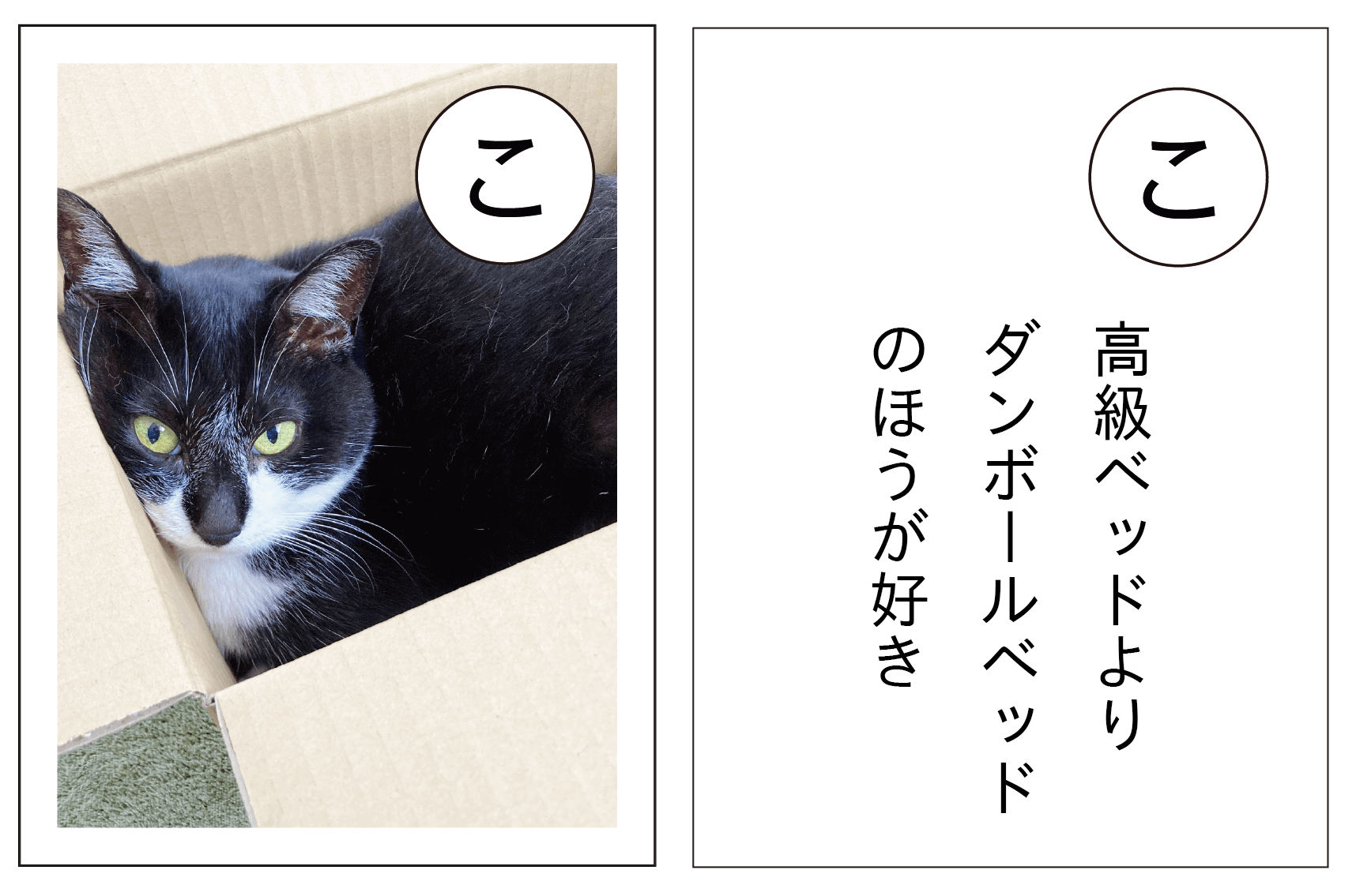 うちの子あるある